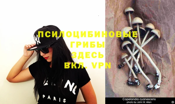 гашиш Аркадак