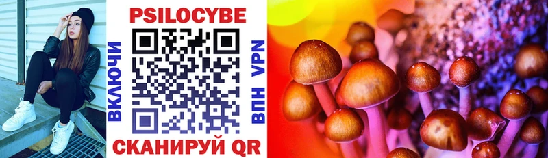 Галлюциногенные грибы Cubensis  мега маркетплейс  Лабинск  наркота 